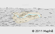 Shaded Relief Panoramic Map of Zhaoqing Shi, desaturated