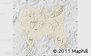 Shaded Relief Map of Zijin, lighten, desaturated
