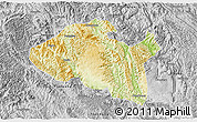 Physical 3D Map of Bama, desaturated