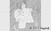 Gray Map of Bobai