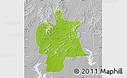 Physical Map of Bobai, lighten, desaturated