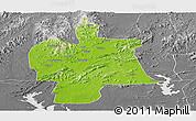 Physical Panoramic Map of Bobai, desaturated