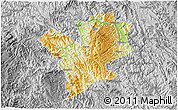 Physical 3D Map of Fengshan, desaturated