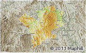 Physical 3D Map of Fengshan, semi-desaturated