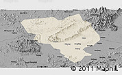 Shaded Relief Panoramic Map of Gui Xian, darken, desaturated