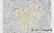 Shaded Relief Map of Leye, desaturated