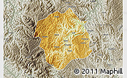 Physical Map of Lingyun, semi-desaturated