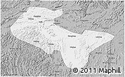 Gray 3D Map of Liujiang