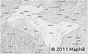 Silver Style 3D Map of Liujiang