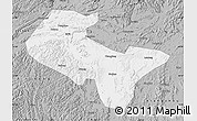 Gray Map of Liujiang