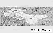 Gray Panoramic Map of Liujiang