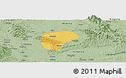 Savanna Style Panoramic Map of Nanning