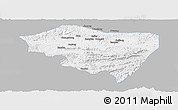 Gray Panoramic Map of Ningming, single color outside