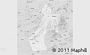 Silver Style 3D Map of Pubei