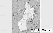 Gray Map of Pubei