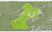 Physical Panoramic Map of Pubei, semi-desaturated