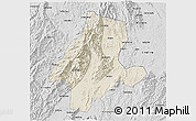 Shaded Relief 3D Map of Quanzhou, desaturated