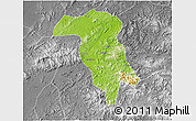 Physical 3D Map of Rong Xian, desaturated