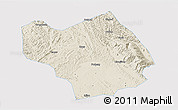Shaded Relief 3D Map of Wuming, single color outside