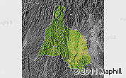 Satellite Map of Yongfu, desaturated