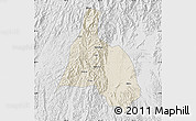 Shaded Relief Map of Yongfu, lighten, desaturated