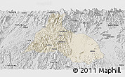 Shaded Relief Panoramic Map of Yongfu, desaturated