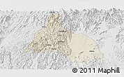 Shaded Relief Panoramic Map of Yongfu, lighten, desaturated