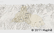 Shaded Relief Panoramic Map of Yongfu, lighten