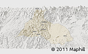 Shaded Relief Panoramic Map of Yongfu, lighten, semi-desaturated