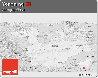 Silver Style Panoramic Map of Yongning