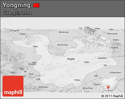 Silver Style Panoramic Map of Yongning