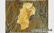 Physical 3D Map of Dushan, darken