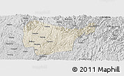 Shaded Relief Panoramic Map of Libo, desaturated