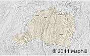 Shaded Relief 3D Map of Pingtang, lighten, desaturated