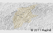 Shaded Relief Panoramic Map of Rongjiang, lighten, desaturated