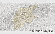 Shaded Relief Panoramic Map of Rongjiang, lighten, semi-desaturated