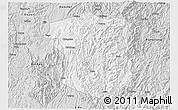 Silver Style 3D Map of Sandu