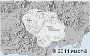Gray 3D Map of Baoting