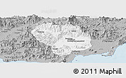Gray Panoramic Map of Baoting