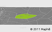 Physical Panoramic Map of Feixiang, desaturated