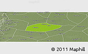 Physical Panoramic Map of Feixiang, semi-desaturated