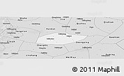 Silver Style Panoramic Map of Feixiang