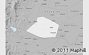 Gray Map of Linzhang