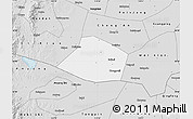Silver Style Map of Linzhang