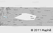 Gray Panoramic Map of Linzhang