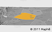 Political Panoramic Map of Linzhang, desaturated