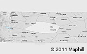 Silver Style Panoramic Map of Linzhang
