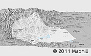 Gray Panoramic Map of Pingshan