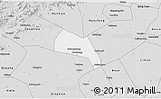 Silver Style 3D Map of Wangdu