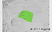 Political Map of Yongnian, lighten, desaturated